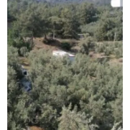 Apartment Elif Su Fethiye