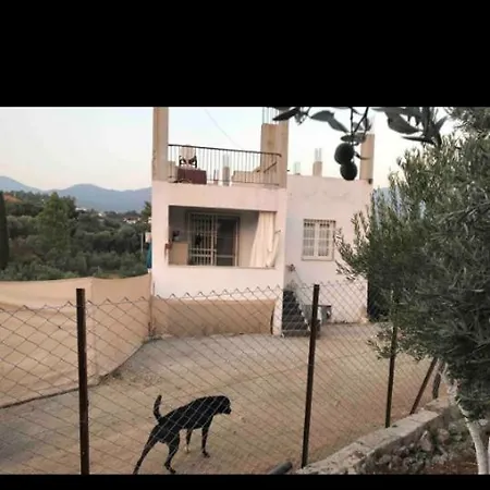 Elif Su *