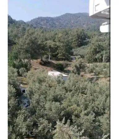Elif Su